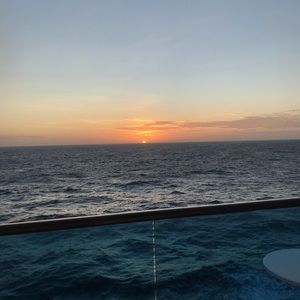 Meet your Posher, Daisy